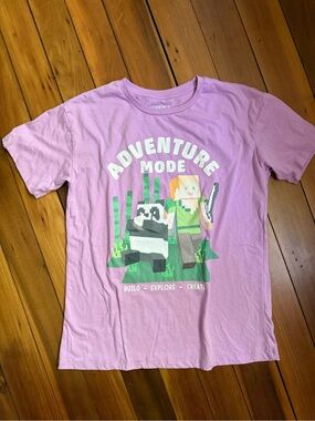 Minecraft Adventure Mode Graphic Tee in Pink